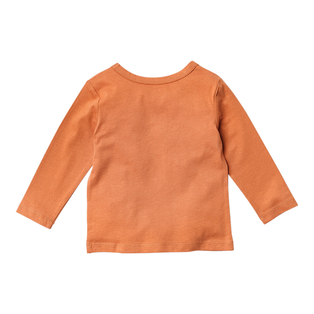 Ms.Rachel Long Sleeve Tees - Brown / 6-12m - Image 11