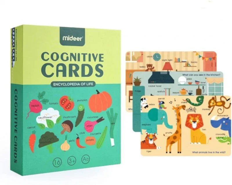 Mideer Cognitive Educational Flash Cards - Encyclopedia of Life