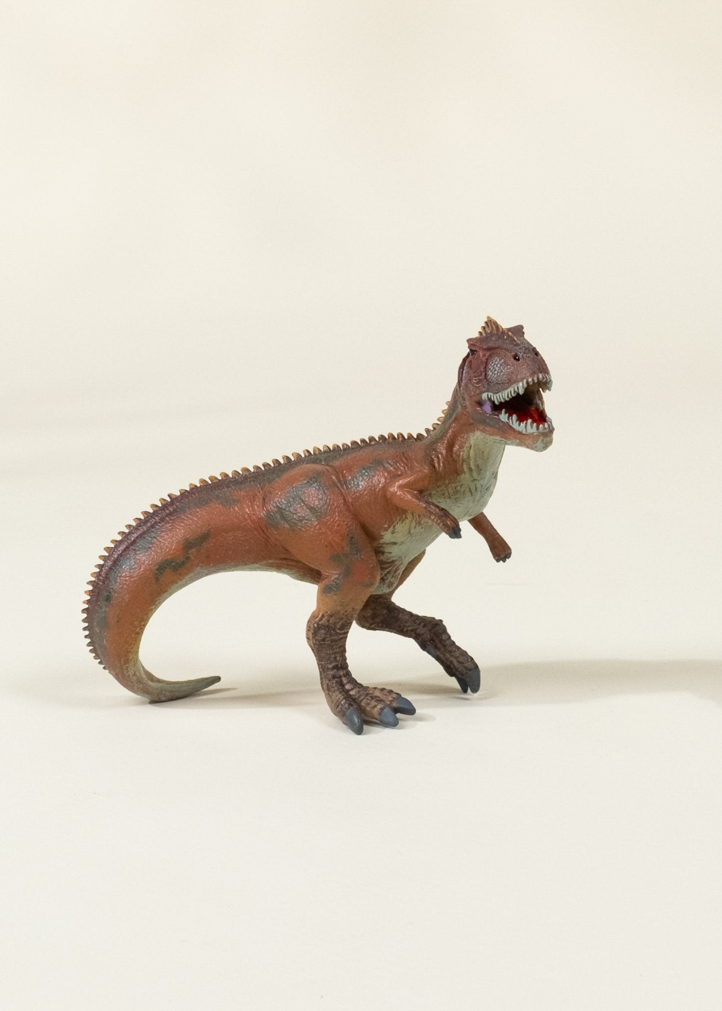 Coco Village Giganotosaurus Dinosaur in a Collectible Box - Image 4