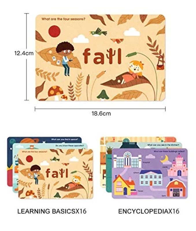 Mideer Cognitive Educational Flash Cards - Encyclopedia of Life - Image 3