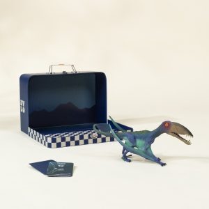 Coco Village Pterosauria Dinosaur in a Collectible Box